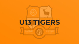 U13 Tigers