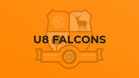 U8 Falcons