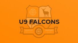 U9 Falcons