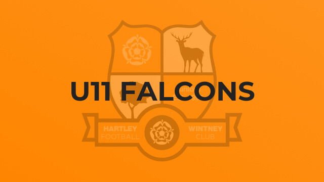 U11 Falcons