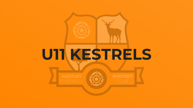 U11 Kestrels