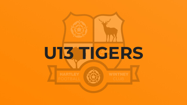 U13 Tigers
