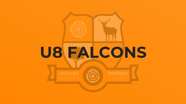 U8 Falcons