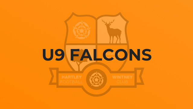 U9 Falcons