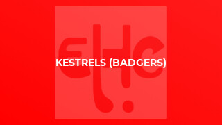 Kestrels (Badgers)