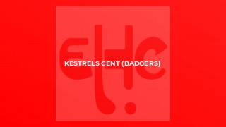 Kestrels Cent (Badgers)