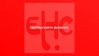 Kestrels North (Badgers)