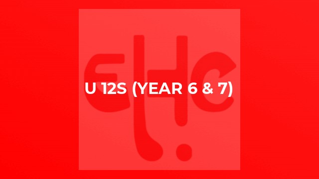 U 12s (Year 6 & 7)