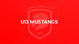 U13 Mustangs