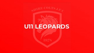 U11 Leopards