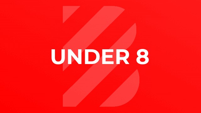 Under 8