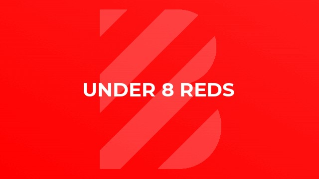 Under 8 Reds