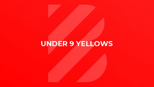 Under 9 Yellows