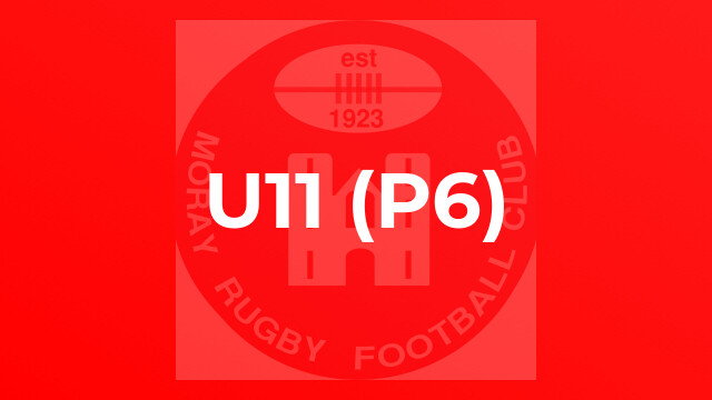 U11 (P6)