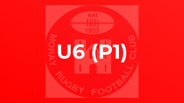 U6 (P1)