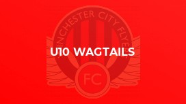 U10 Wagtails