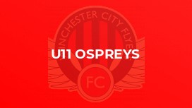 U11 Ospreys