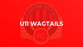 U11 Wagtails