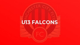 U13 Falcons