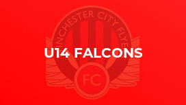 U14 Falcons