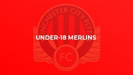 Under-18 Merlins