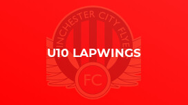 u10 Lapwings