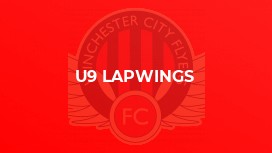 u9 Lapwings