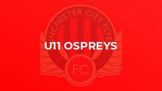 U11 Ospreys