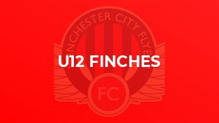 U12 Finches