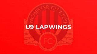 u9 Lapwings