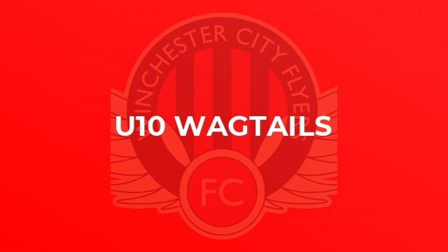 U10 Wagtails