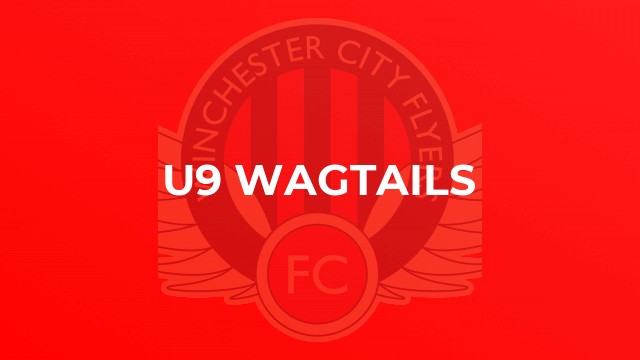 U9 Wagtails