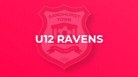 U12 Ravens