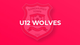 U12 Wolves
