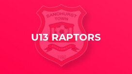 U13 Raptors