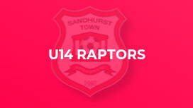 U14 Raptors