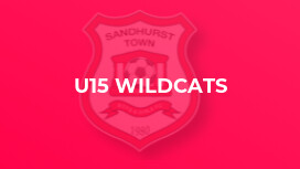 U15 Wildcats