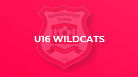 U16 Wildcats