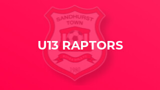U13 Raptors