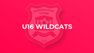 U16 Wildcats