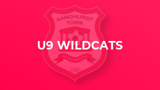 U9 Wildcats