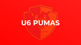 U6 Pumas