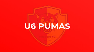 U6 Pumas