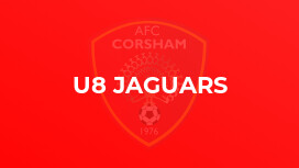 U8 Jaguars