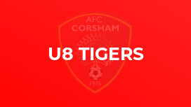 U8 Tigers
