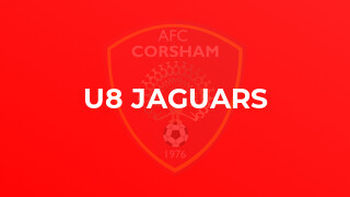 U8 Jaguars