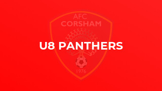 U8 Panthers