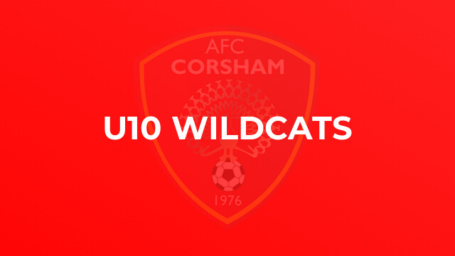 U10 Wildcats