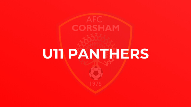 U11 Panthers