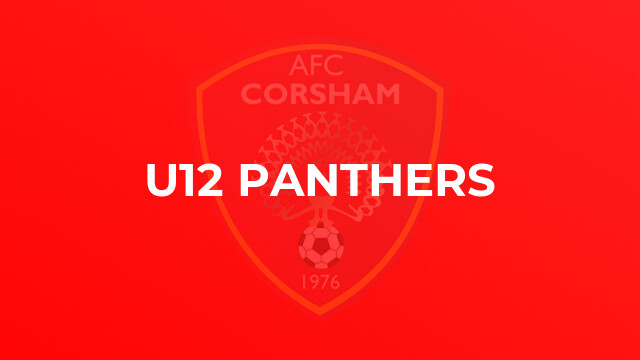 U12 Panthers